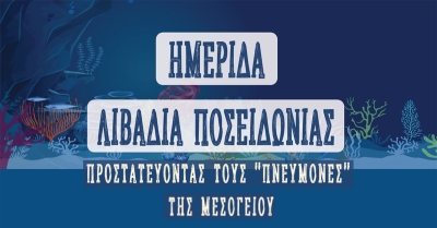 Μονεμβασιά: Ημερίδα για τα λιβάδια Ποσειδωνίας και την προστασία των «πνευμόνων» της Μεσογείου