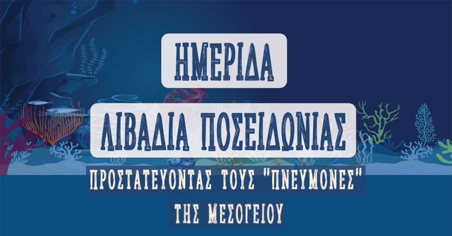 Μονεμβασιά: Ημερίδα για τα λιβάδια Ποσειδωνίας και την προστασία των «πνευμόνων» της Μεσογείου