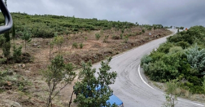 Δήμος Σπάρτης: Ενίσχυση Πυροπροστασίας κατοικημένων περιοχών με δημιουργία 18 Αντιπυρικών Ζωνών