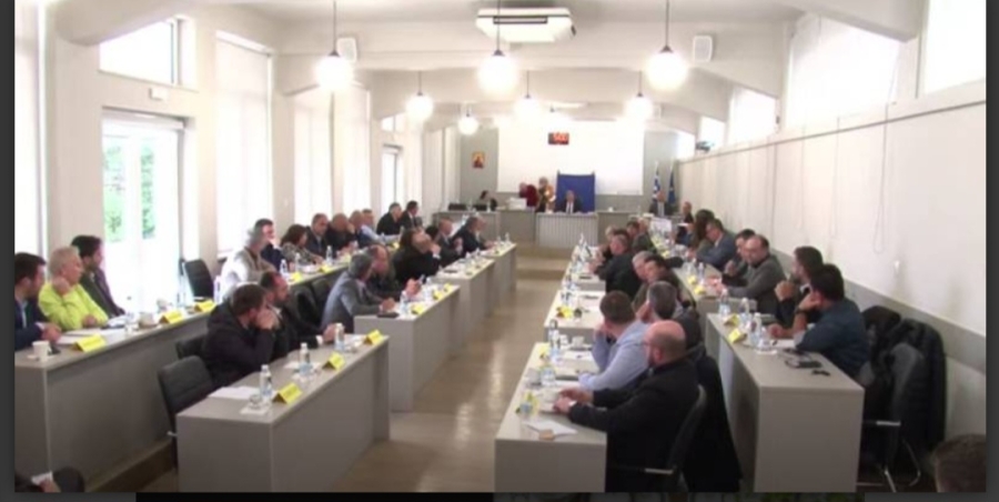 Κων/να Νικολάκου: Τα αγροτικά προβλήματα πρέπει να συζητηθούν στο Π.Σ.