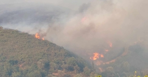 Λακωνία: Πολύ υψηλός κίνδυνος πυρκαγιάς τη Δευτέρα