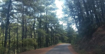 Επιτροπή Αγώνα στη Δημοτική Ενότητα Βαλτετσίου: Όλοι και Όλες την Κυριακή (22/3) στην Πλατεία Πετρινού στην Τρίπολη