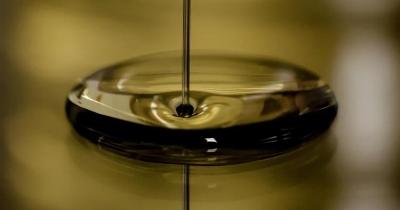 Η αγορά έδωσε 5,50 ευρώ για βιολογικό ΠΟΠ ελαιόλαδο αλλά δεν πούλησαν οι Μεσσήνιοι