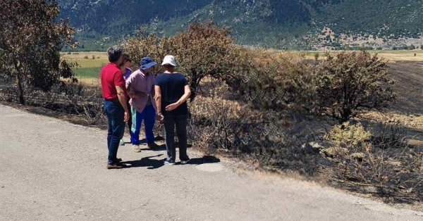 Αυτοψία στις πληγείσες περιοχές της Ορεινής Κορινθίας από τον ΕΛΓΑ και την Περιφέρεια Πελοποννήσου