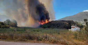 Μονεμβασία: Φωτιά στην περιοχή Αγίου Στεφάνου – Κινδύνευσαν δύο κατοικίες