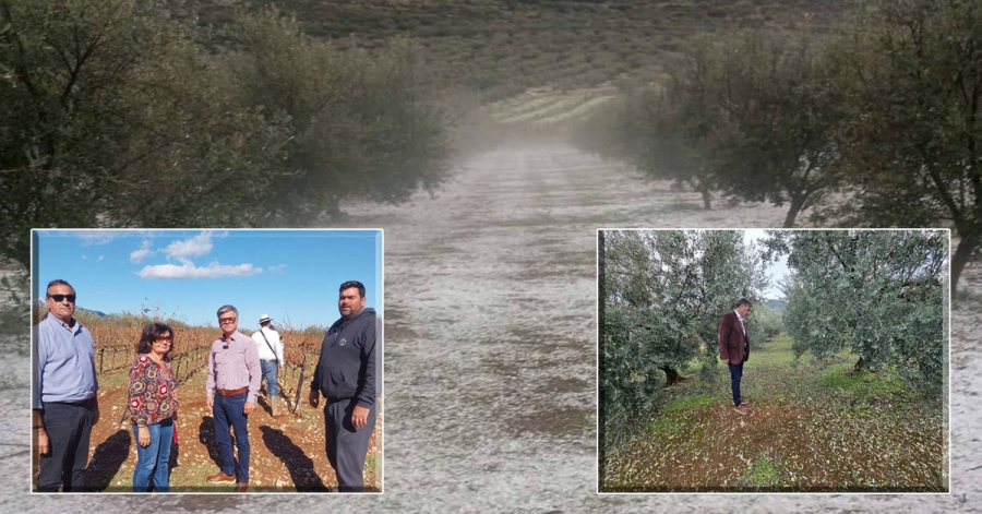 Χαλαζόπτωση | Κλιμάκια του ΕΛΓΑ στις πληγείσες περιοχές μετά από πρωτοβουλία της Περιφέρειας Πελοποννήσου