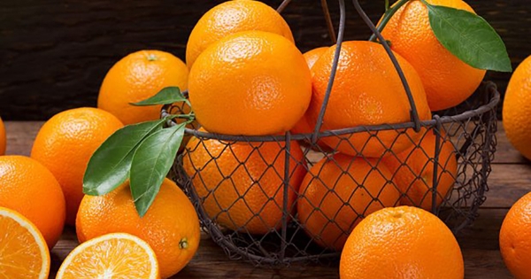 Πορτοκάλια μπαίνουν πορτοκάλια βγαίνουν κανένας έλεγχος στην χώρα, τιμές των Αιγυπτιακών