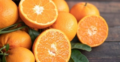 Η καλή ζήτηση απογείωσε εξαγωγές και τιμές στα πορτοκάλια