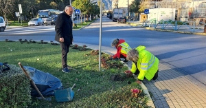 Συνεχίζονται οι παρεμβάσεις Πρασίνου σε σημεία της Σπάρτης – Δίνουμε χρώμα στην πόλη μας, ομορφαίνουμε τη ζωή μας