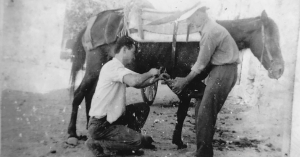 Γράφει ο Β. Μητράκος: Στο καρφί και στο πέταλο