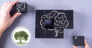 Δήμος Ευρώτα: Μέτρηση ζωτικών σημείων και τεστ μνήμης