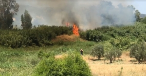 ΣΥΜΒΑΙΝΕΙ ΤΩΡΑ: Πυρκαγιά στη νέα είσοδο της Σπάρτης (live video)