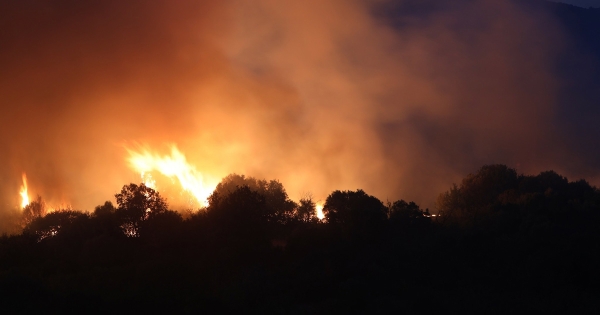 Πυρκαγιές 2024: Τρομάζουν τα στοιχεία - Οι καμένες εκτάσεις φτάνουν τα 450.000 στρέμματα