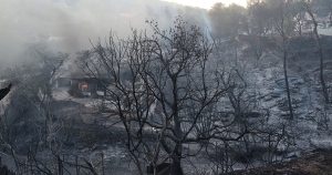 Meteo: Κάηκαν περίπου 100 χιλιάδες στρέμματα μέχρι το μεσημέρι της Δευτέρας