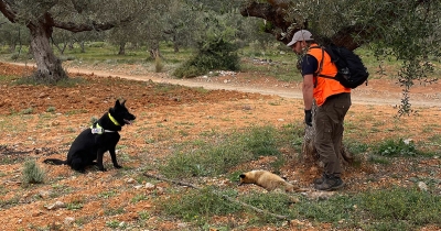 Δηλητηριασμένα ζώα και δηλητηριασμένα δολώματα εντόπισε η ΕΜΑΔΔ Νότιας Πελοποννήσου