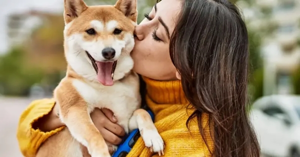 Νέα έρευνα αποδεικνύει ότι τα σκυλιά καταλαβαίνουν πότε τους λέτε ότι τα αγαπάτε!