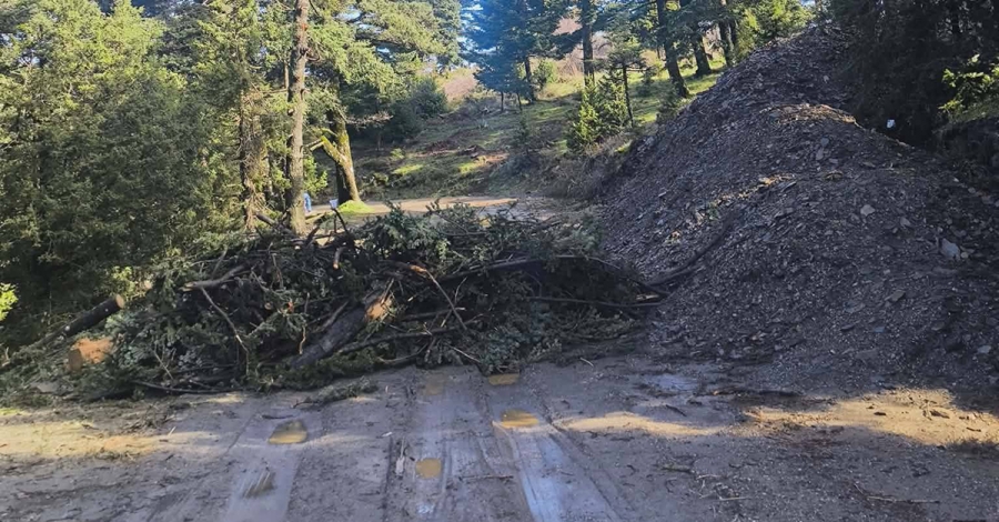 Επιτροπές αγώνα για την σωτηρία του Πάρνωνα: Συγκέντρωση την Κυριακή 22 Μάρτη στην Πλατεία Πετρινού Τρίπολη