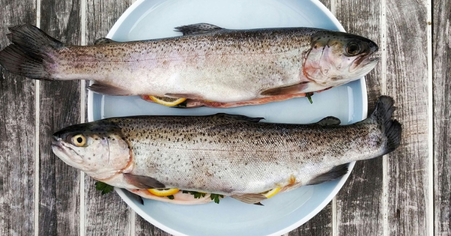 Κυριακή των Βαΐων: Γιατί τρώμε ψάρι - Τι γιορτάζουμε