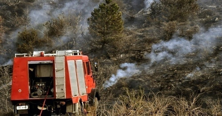 Πυρκαγιά στον Άγιο Νικόλαο του Δήμου Ανατολικής Μάνης – Ισχυρή κινητοποίηση της Πυροσβεστικής