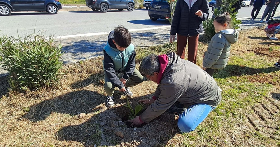 Δήμος Σπάρτης: Εθελοντική δενδροφύτευση με το «Όλοι Μαζί Μπορούμε» στον Κλαδά
