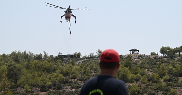 Κίνδυνος πυρκαγιάς: Πολύ υψηλός σε μεγάλο μέρος της χώρας το Σάββατο