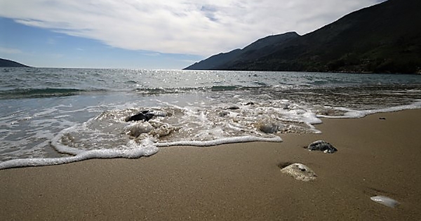 Τρεις γαλάζιες σημαίες για το Δήμο Ανατολικής Μάνης