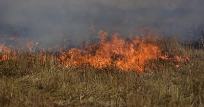 Νέα πυρκαγιά στο Γεράκι Λακωνίας