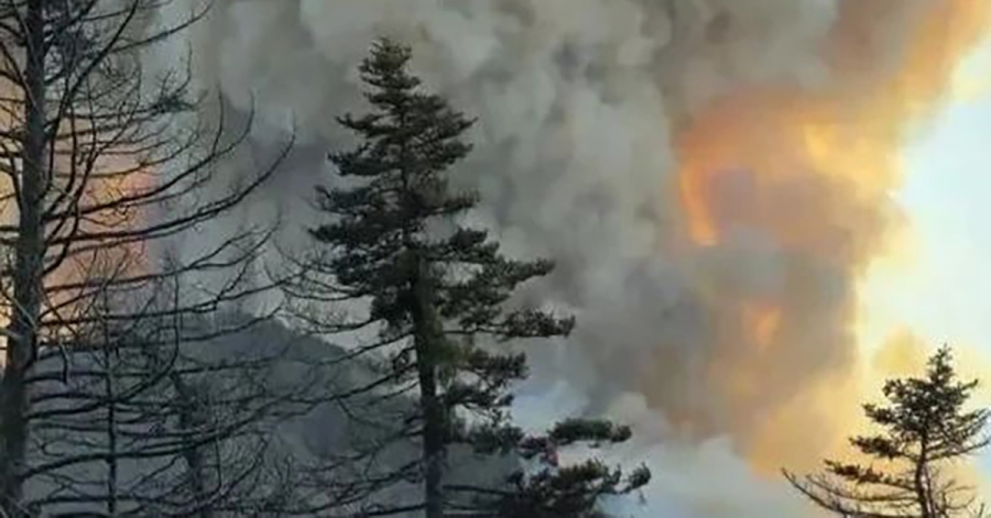 Meteo: Η 5η χειρότερη χρονιά πυρκαγιών από το 2006 - Κάηκαν πάνω από 470.000 στρέμματα