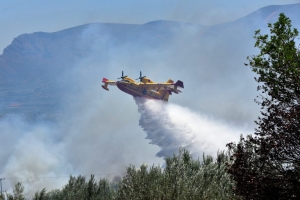 Αντιπυρική περίοδος: Συστάσεις τους πολίτες – Πότε λήγει η προθεσμία για τα ακαθάριοστα οικόπεδα