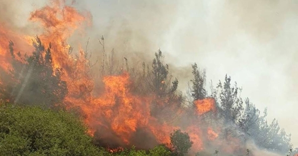 Λακωνία: Υψηλός κίνδυνος δασικής πυρκαγιάς (κατηγορία κινδύνου 3) το Σάββατο (22/6)