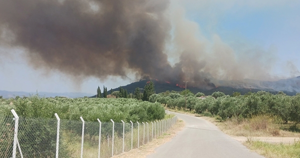 Aναζωπύρωση της φωτιάς στο Λυκοβουνό