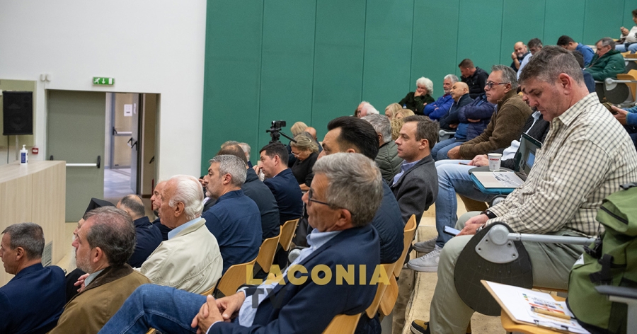 Σπάρτη: Κοινό μέτωπο για την ίδρυση Πανεπιστημιακού Ινστιτούτου Ελαιοκομίας – Παρουσιάστηκε η μελέτη