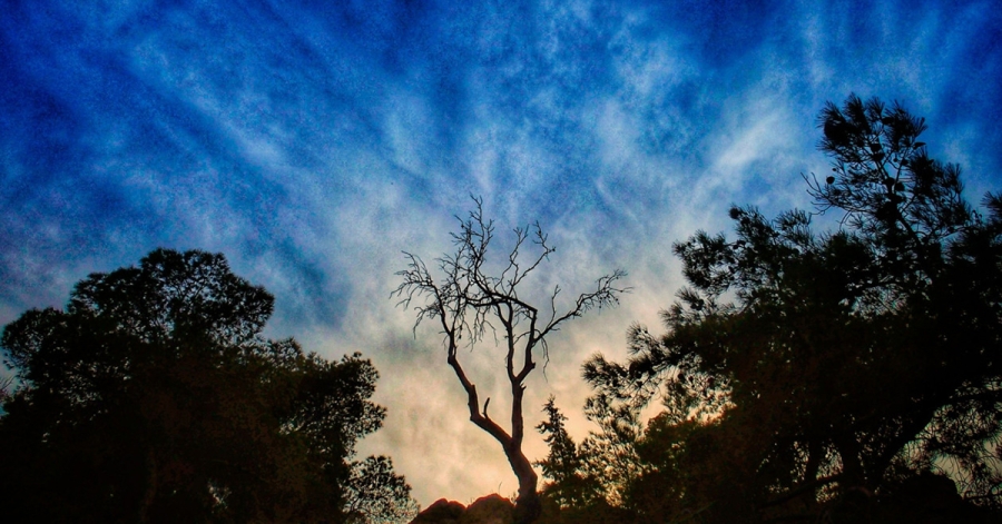 Καιρός: Οι πρώτες προβλέψεις για το τριήμερο της Πρωτομαγιάς