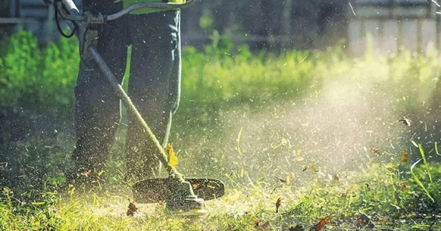 Ακαθάριστα οικόπεδα: Νέοι κανόνες και πρόστιμα – Τι αλλάζει με τον νόμο για την πυροπροστασία