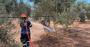 Σε δύο πυρκαγιές επιχείρησε η Πολιτική Προστασία του Δήμου Σπάρτης