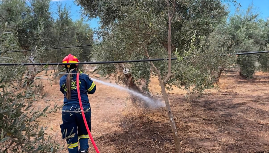 Σε δύο πυρκαγιές επιχείρησε η Πολιτική Προστασία του Δήμου Σπάρτης