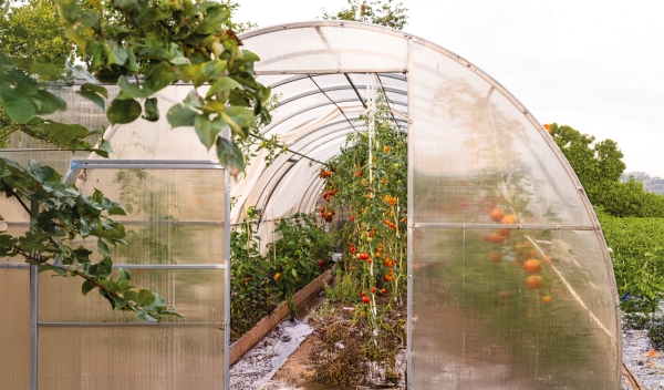 Ενημέρωση για τις Επενδύσεις για τον εκσυγχρονισμό και την κατασκευή θερμοκηπίων και προσπελάσιμων στεγάστρων φυτικής παραγωγής