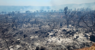 Yπό έλεγχο τέθηκε η φωτιά στο Φιλήσι Δήμου Ευρώτα