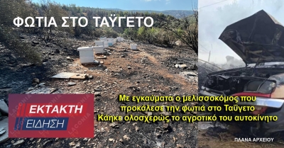 Με εγκαύματα ο μελισσοκόμος που προκάλεσε τη φωτιά στον Ταΰγετο | Κάηκε ολοσχερώς το αγροτικό του όχημα
