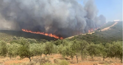 Αρχίζει η υποβολή αιτήσεων για ζημιές από την πυρκαγιά της 19ης Ιουλίου στο Δαφνί