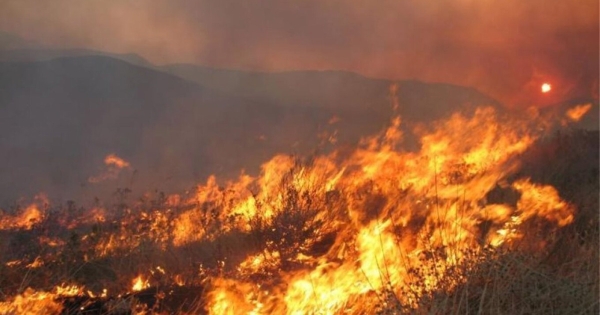 Λ. Κυρίζογλου (ΚΕΔΕ): Άδικη η επίθεση στους δήμους για τις πυρκαγιές